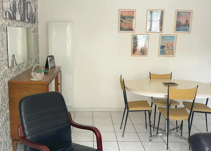 Hypercentre Avec Parking * Albi