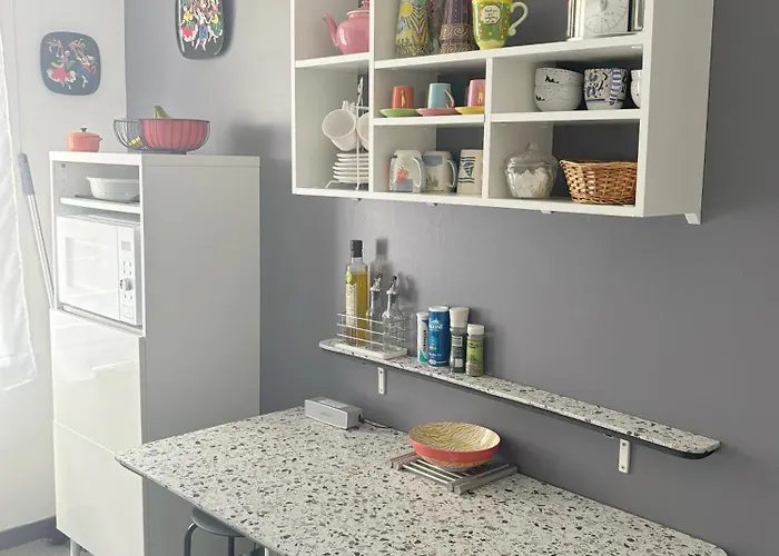 Lejlighed Hypercentre Avec Parking Albi